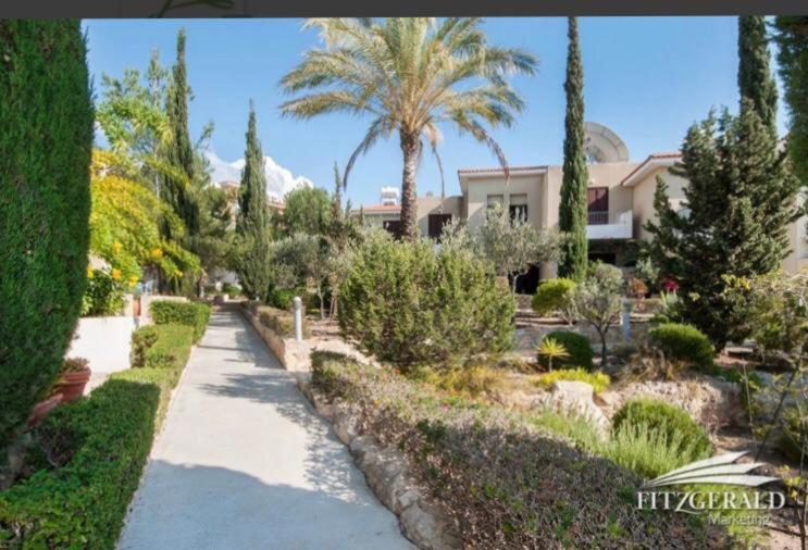 Owls Nest Townhouse Villa Paphos Eksteriør billede