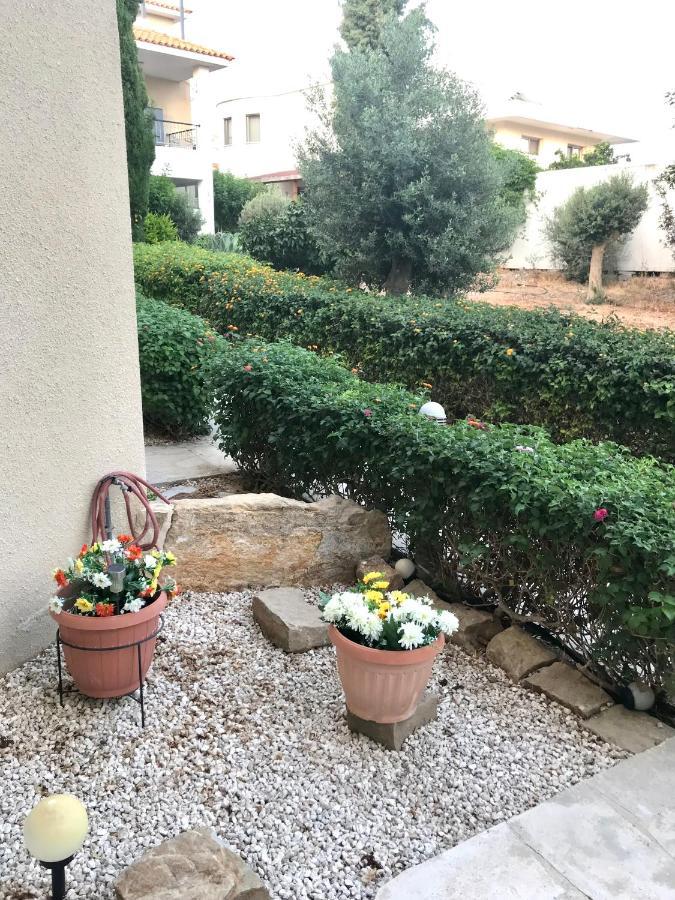 Owls Nest Townhouse Villa Paphos Eksteriør billede
